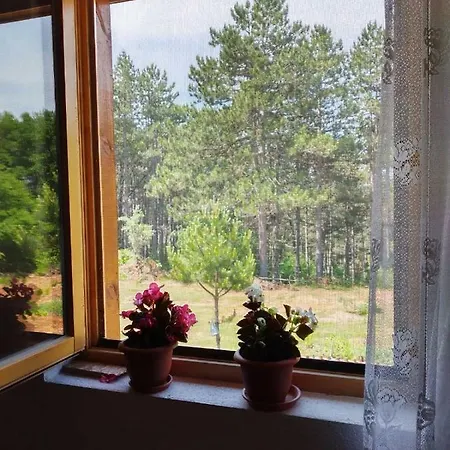 Pine Dream Villa Ohrid