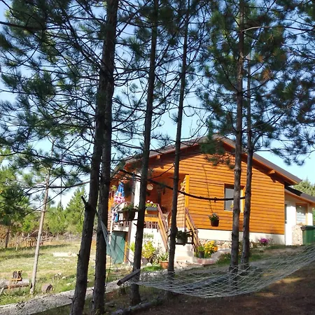 Pine Dream Villa Ohrid